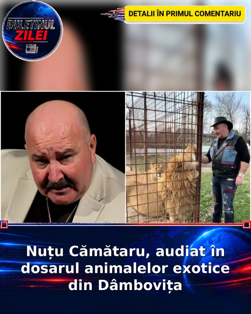 Nuțu Cămătaru, audiat în dosarul animalelor exotice din Dâmbovița