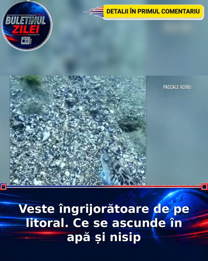 Veste îngrijorătoare de pe litoral. Ce se ascunde în apă și nisip