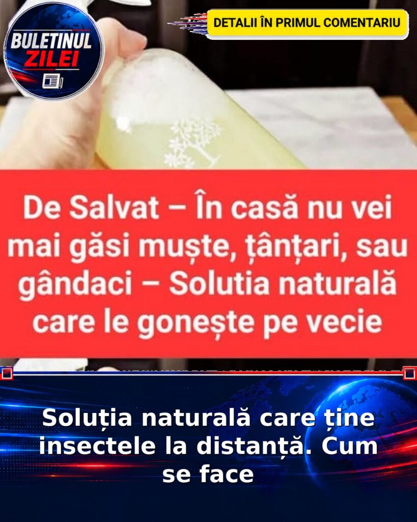 Soluția naturală care ține insectele la distanță. Cum se face
