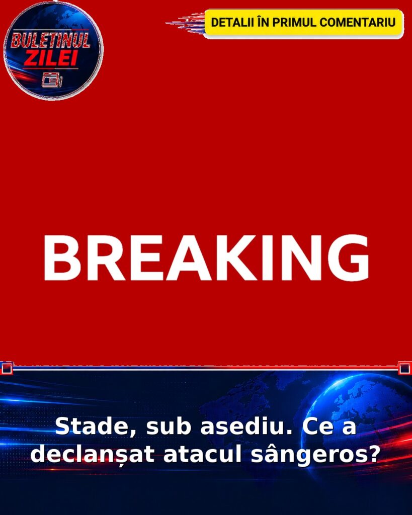 Stade, sub asediu. Ce a declanșat atacul sângeros?