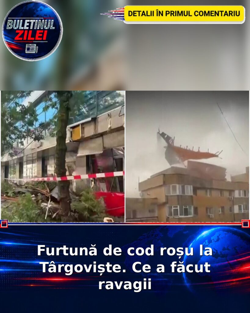 Furtună de cod roșu la Târgoviște. Ce a făcut ravagii
