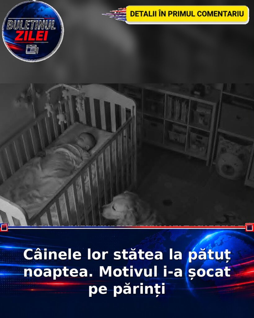 Câinele lor stătea la pătuț noaptea. Motivul i-a șocat pe părinți