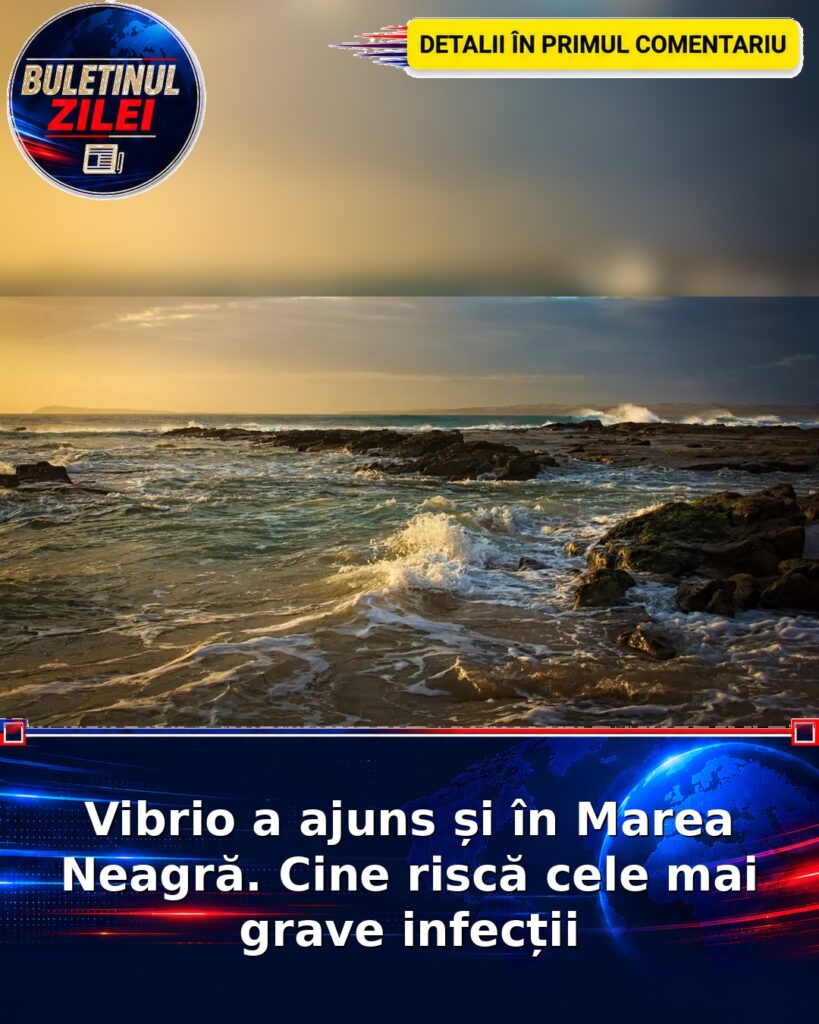 Vibrio a ajuns și în Marea Neagră. Cine riscă cele mai grave infecții