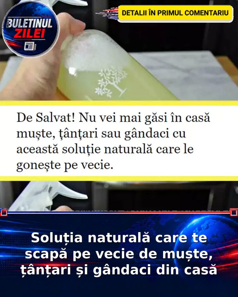 Soluția naturală care te scapă pe vecie de muște, țânțari și gândaci din casă