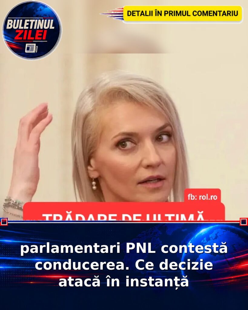 parlamentari PNL contestă conducerea. Ce decizie atacă în instanță