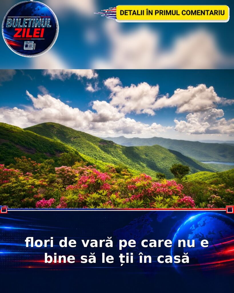 flori de vară pe care nu e bine să le ții în casă