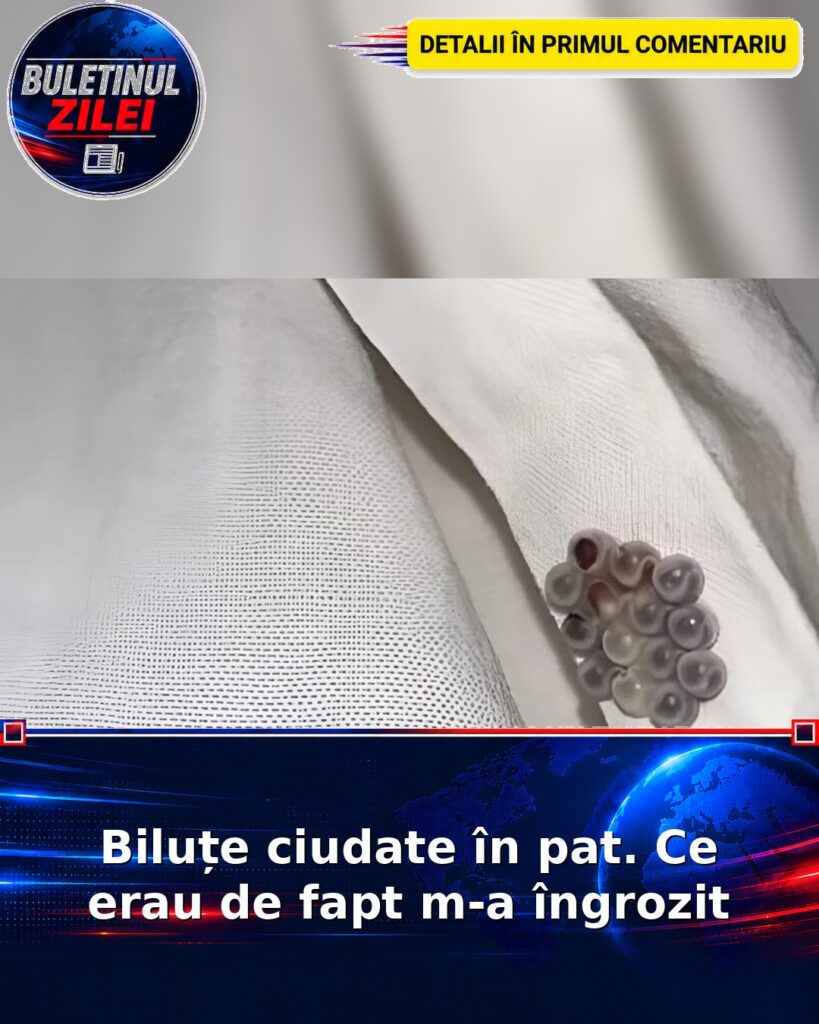 Biluțe ciudate în pat. Ce erau de fapt m-a îngrozit