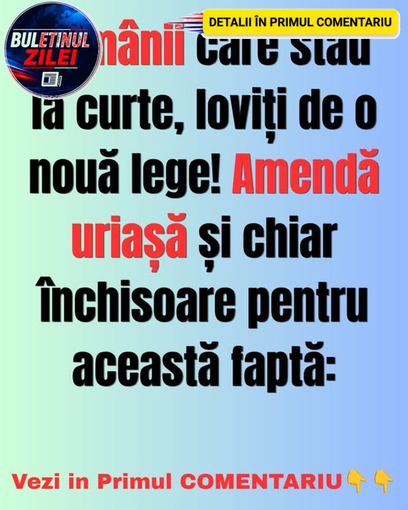 Măsură drastică pentru românii cu curte: Amendă și închisoare pentru o faptă interzisă!