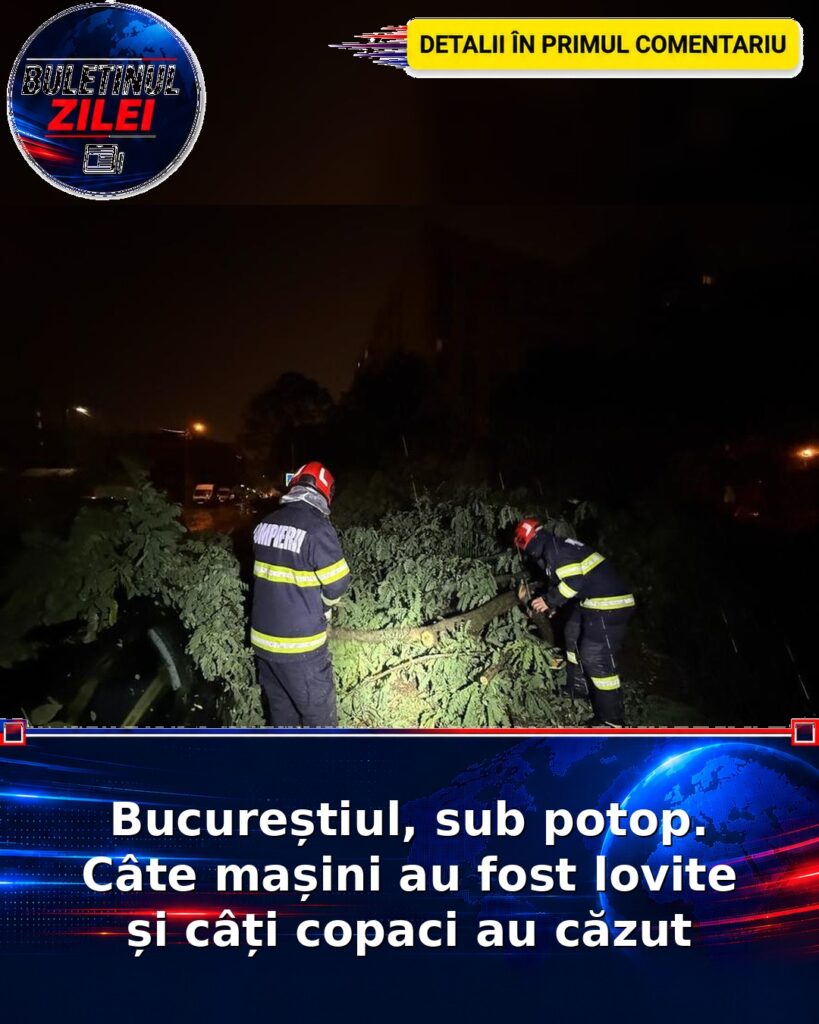 Bucureștiul, sub potop. Câte mașini au fost lovite și câți copaci au căzut
