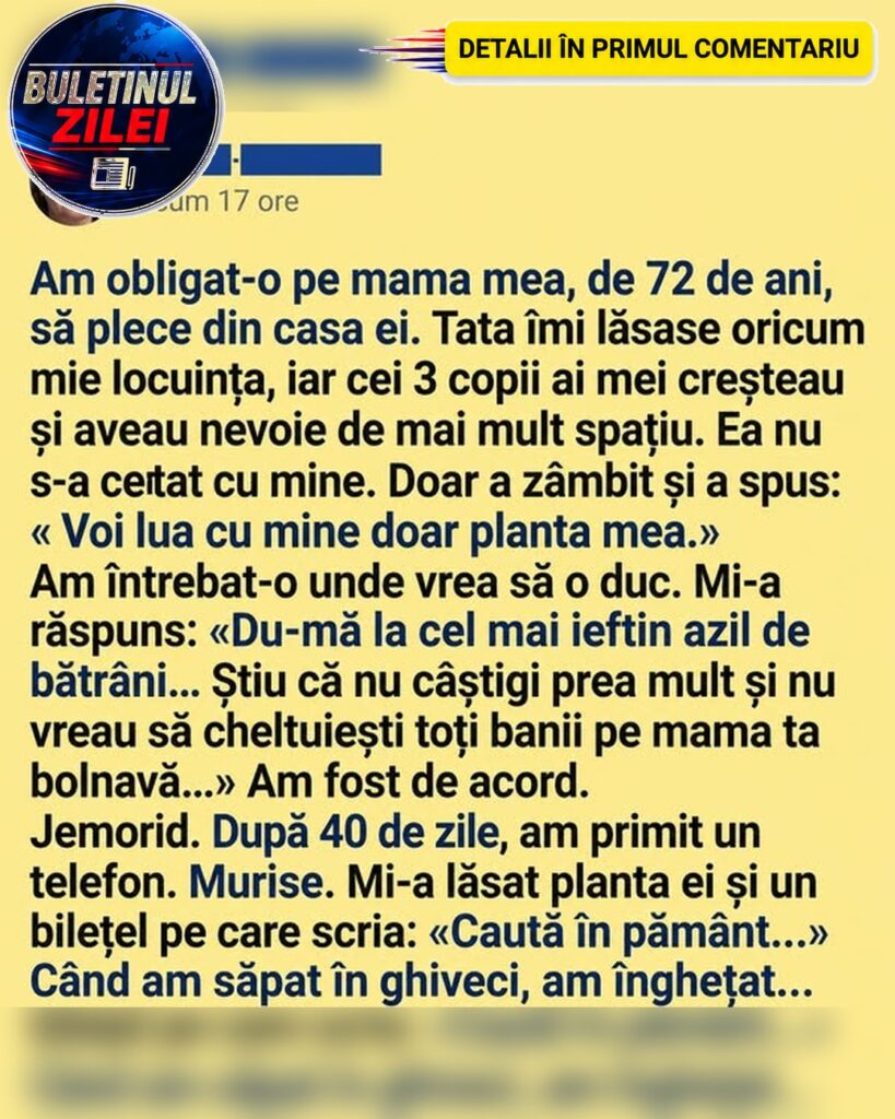 Am obligat-o pe mama mea, de 72 de ani, să plece din casa în care trăise aproape toată viața