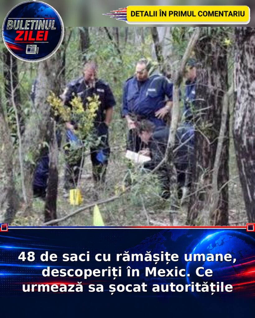 48 de saci cu rămășițe umane, descoperiți în Mexic. Ce urmează sa șocat autoritățile