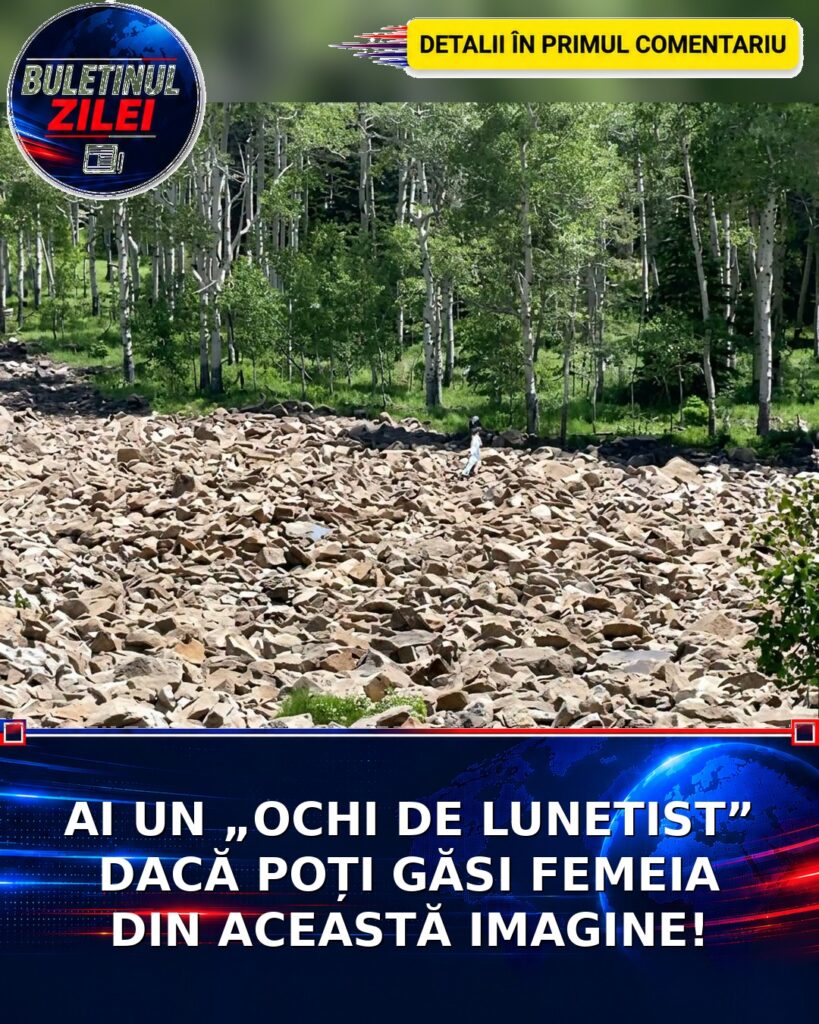 AI UN „OCHI DE LUNETIST” DACĂ POȚI GĂSI FEMEIA DIN ACEASTĂ IMAGINE!