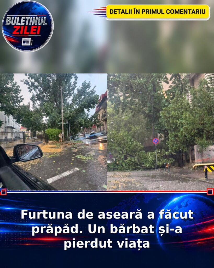 Furtuna de aseară a făcut prăpăd. Un bărbat și-a pierdut viața