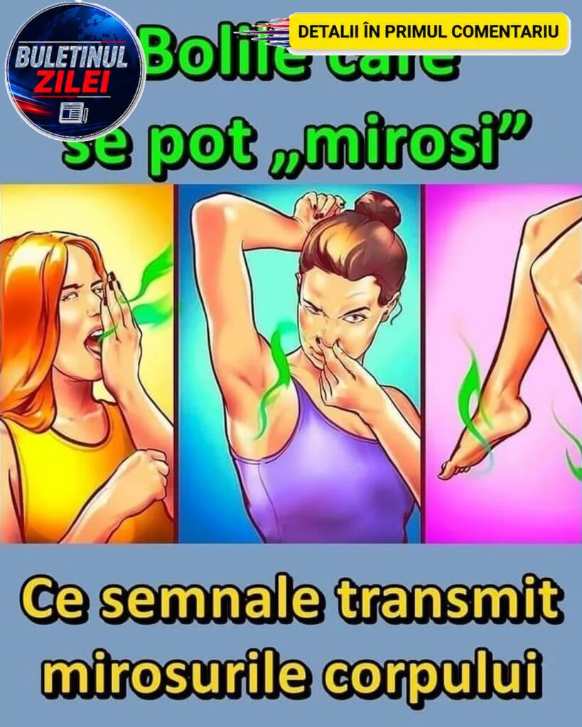 Ce semnale transmit mirosurile corpului