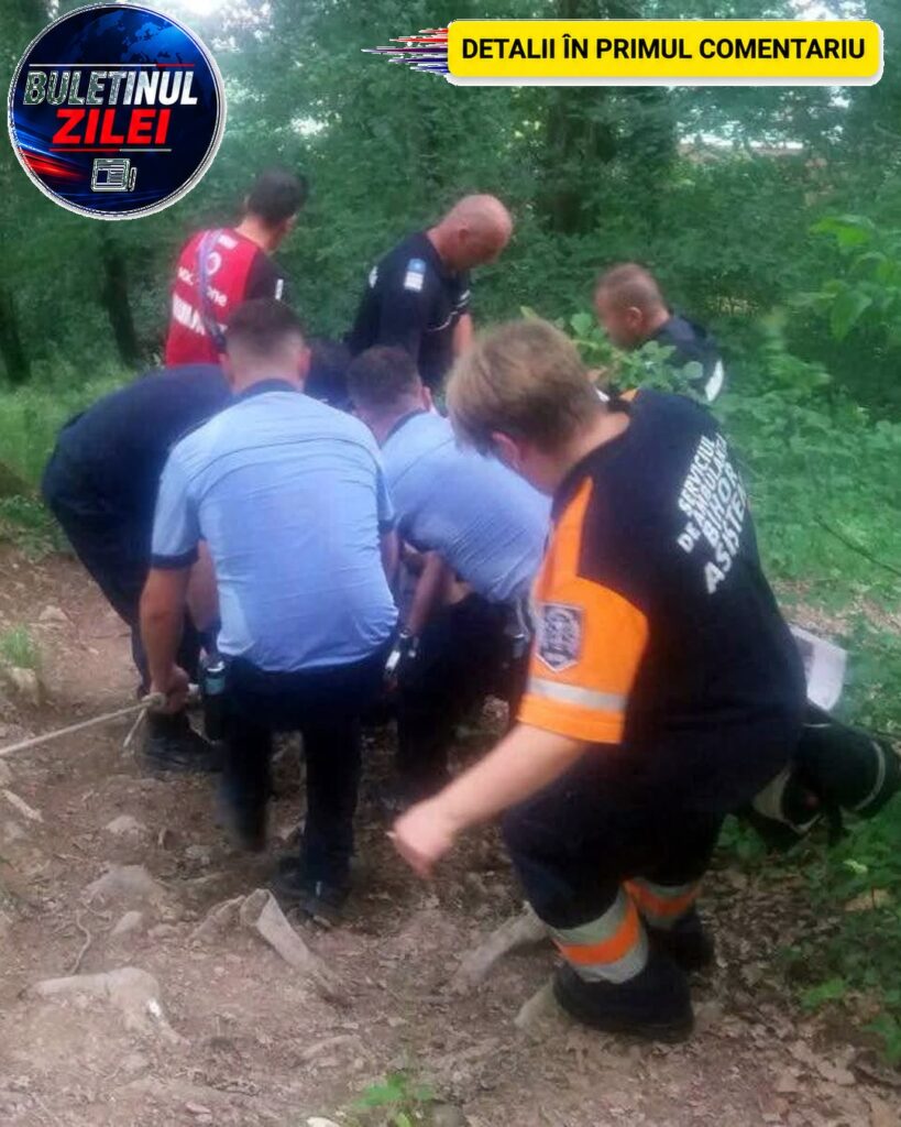O Descoperire Tragică Într-O Pădure Din Harghita