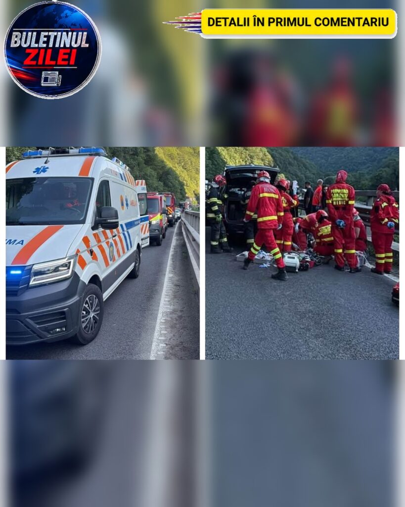 Cine este barbatul mort in masina peste care a cazut un BOLOVAN pe DN7…
