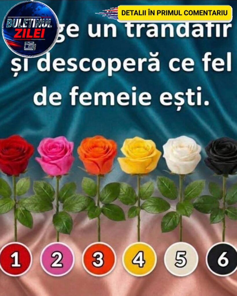 Alege un trandafir și descoperă ceva interesant despre personalitatea ta