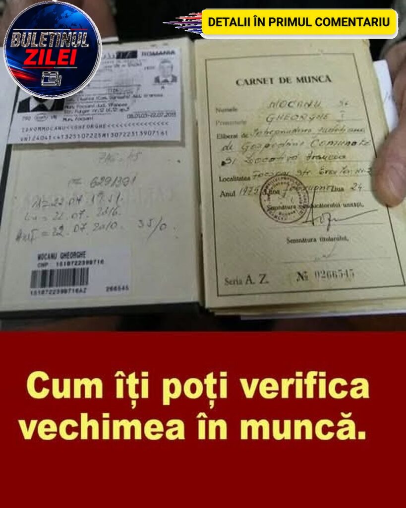 Românii își pot verifica online vechimea în muncă și contribuțiile la pensie. Tot ce trebuie să știi despre contul CNPP
