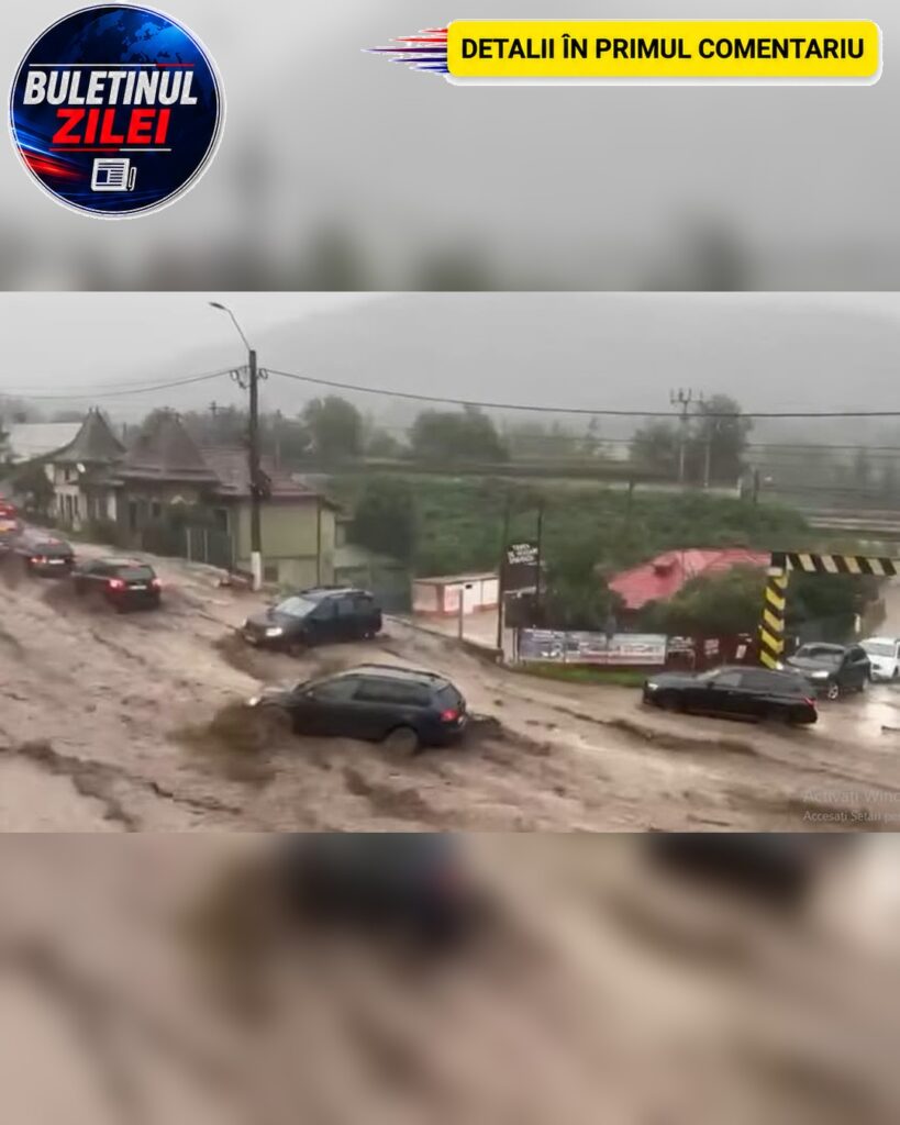 Prăpăd în Bușteni! Viitură violentă, mașini înghițite de ape și haos total pe DN1