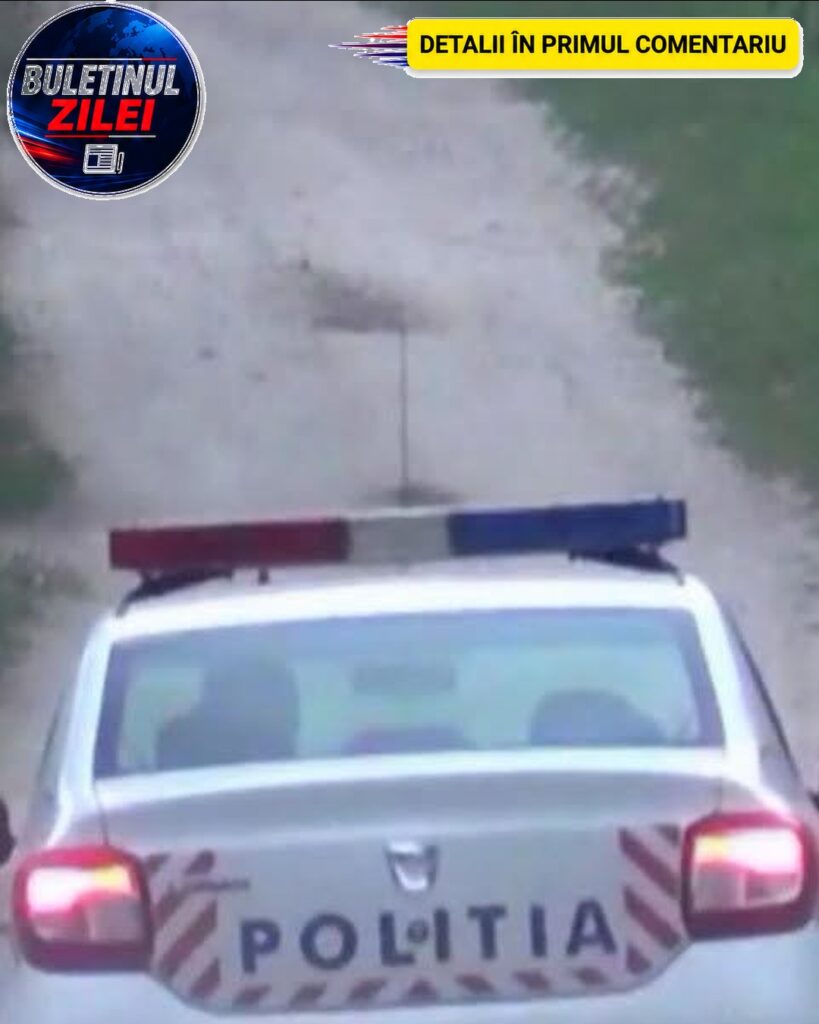 O viperă a murit după ce a mușcat un bărbat beat criță. Victima a încercat apoi să salveze șarpele