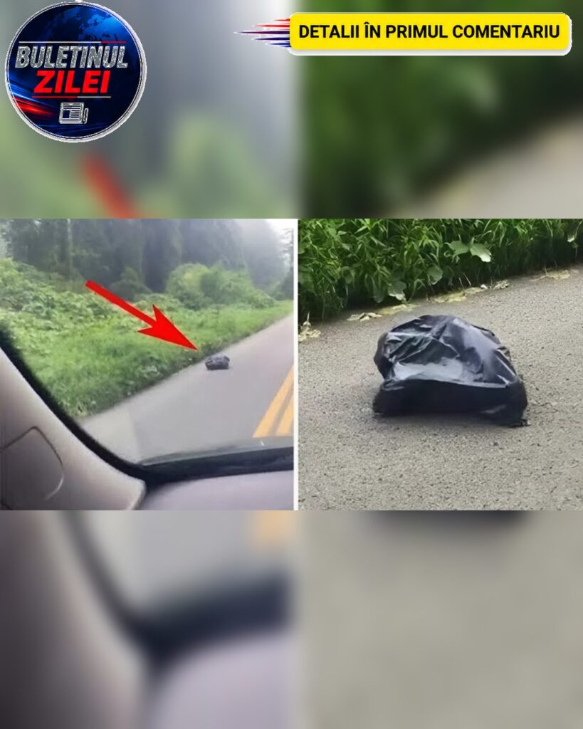 Am fost surprinși când am descoperit că punga grea de plastic aruncată pe fereastra mașinii de către șofer nu era doar gunoi.