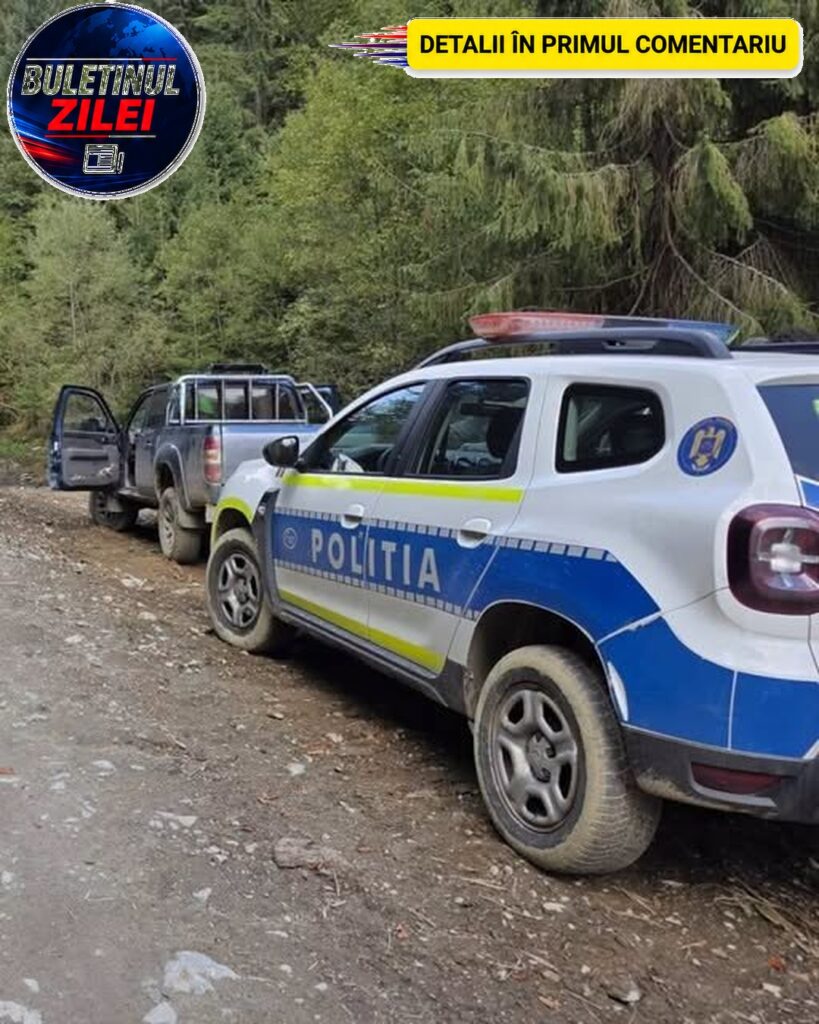 Un cioban a fost mușcat de urs în Masivul Iezer. Care este starea de sănătate a bărbatului