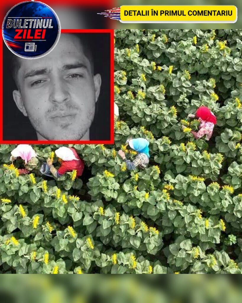 Marian este românul de 19 ani care și-a pierdut viața în Italia. Se afla la cules de roșii când i s-a făcut brusc rău