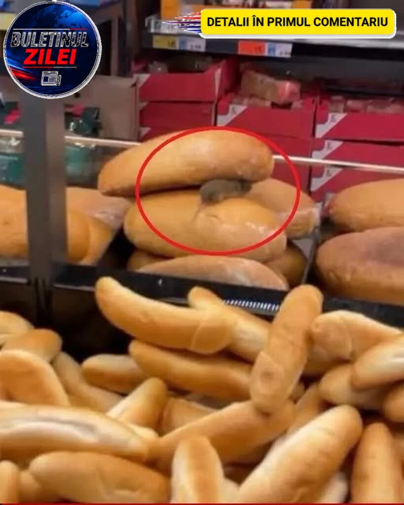Un rozător a fost surprins pe pâinea dintr-un supermarket. Magazinul a fost închis pentru deratizare