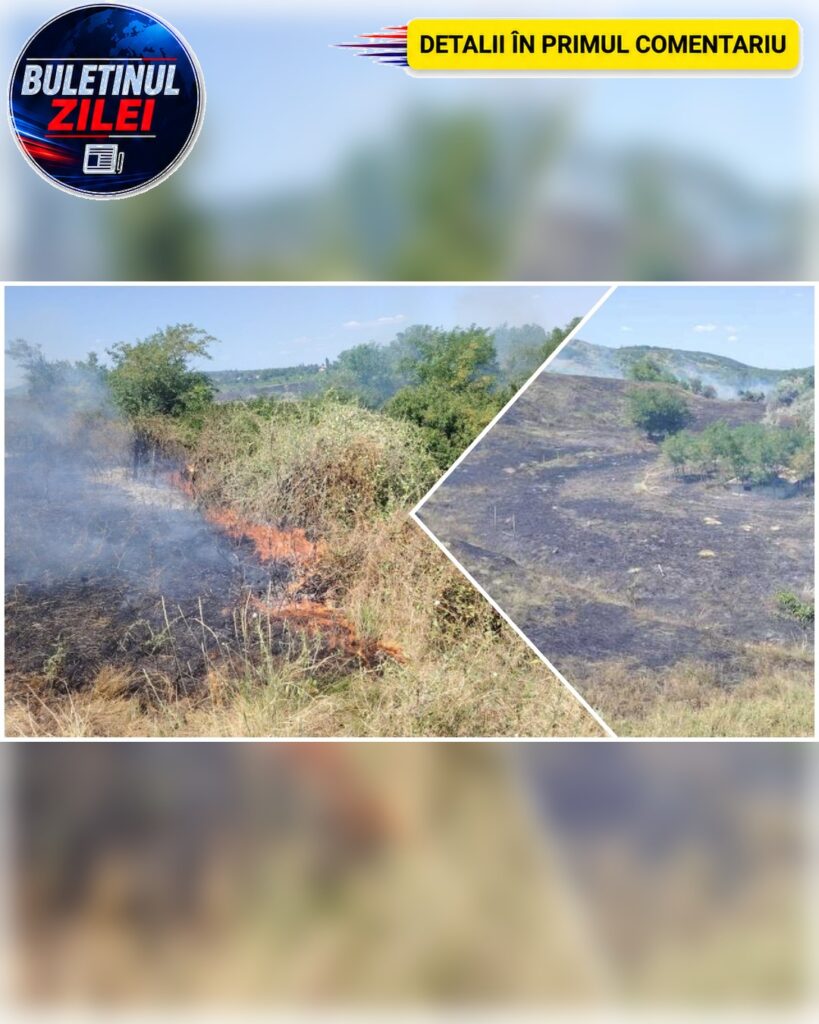 Incendiu de vegetație pe 20 de hectare în județul Buzău. A fost emis un mesaj RO-Alert din cauza fumului dens