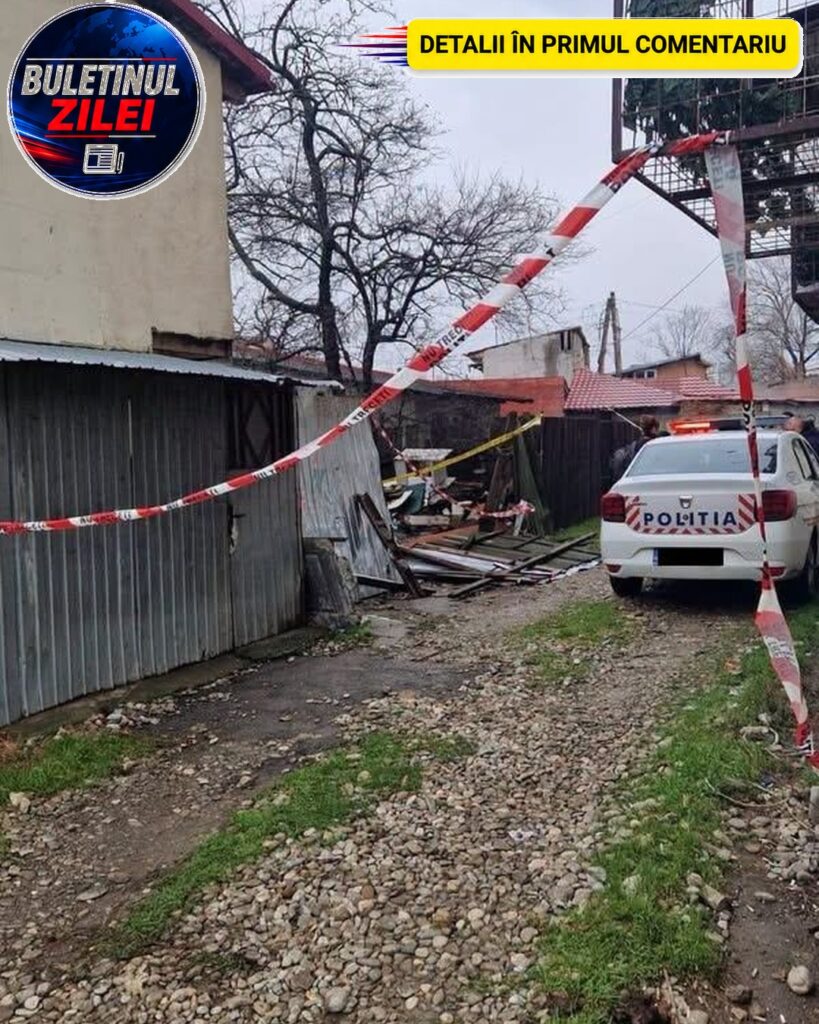 Femeie de 87 de ani, găsită moartă în propria locuință! Ar fi fost mușcată de câinii maidanezi pe care îi îngrijea