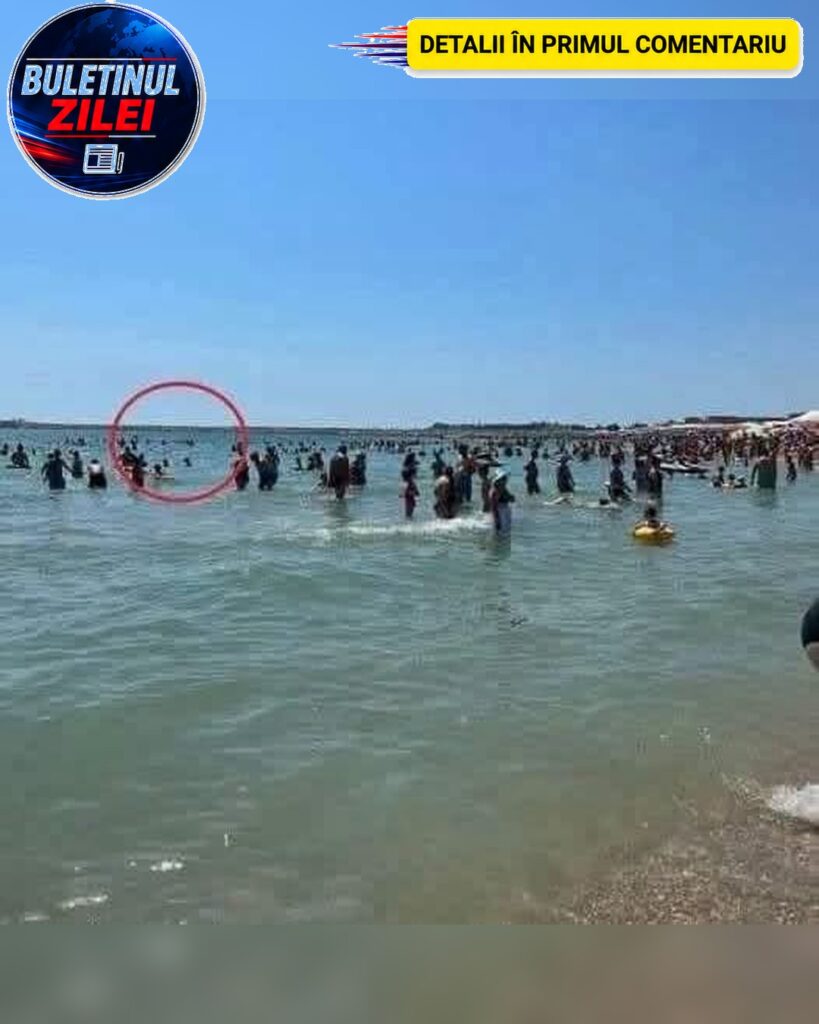 Turiștii au fost uluiți de ceea ce au văzut pe plaja din Eforie Nord