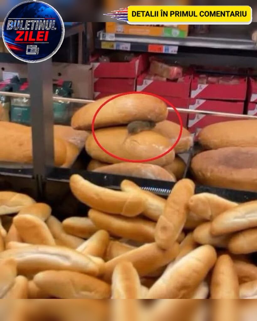REVOLTĂTOR! Șoarece filmat printre pâini într-un supermarket din. Vezi mai mult