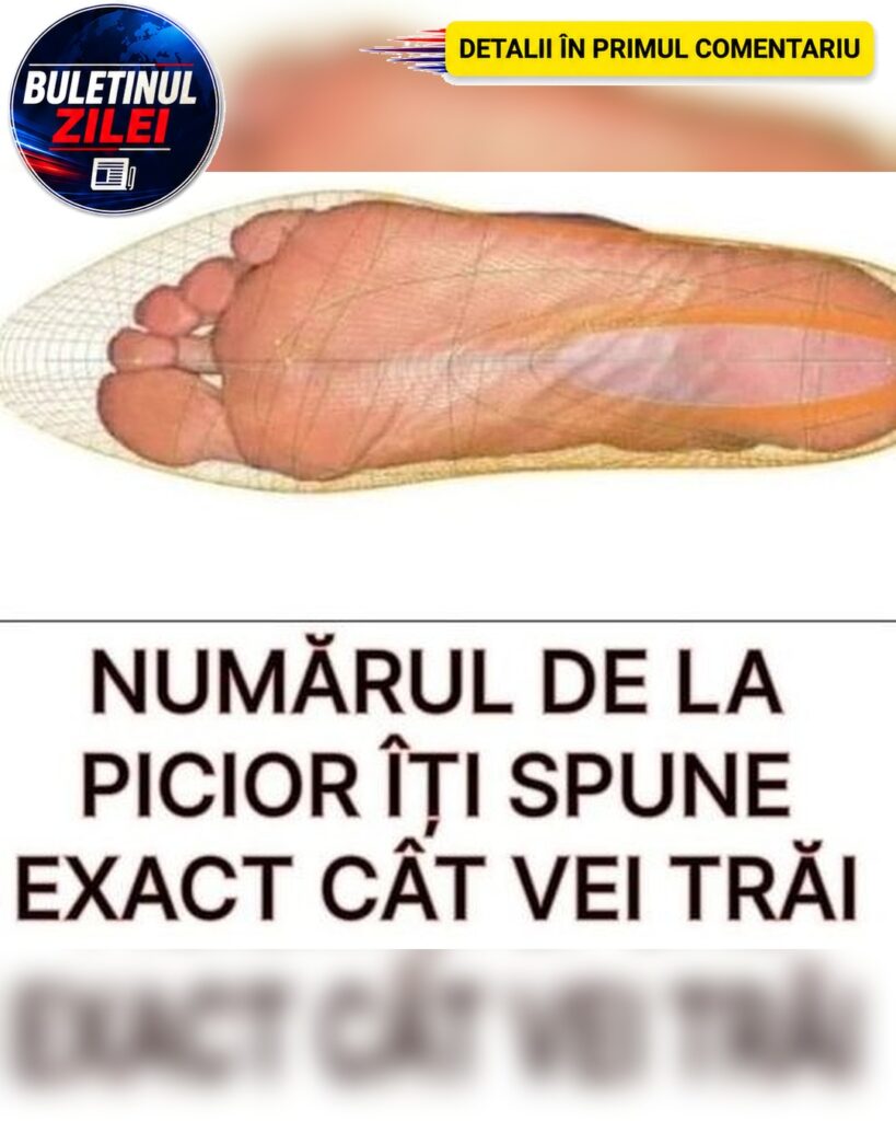 Știai Că Numărul De La Picior Spune Exact Cat Vei Trăi? Citește Să Vezi Unde Te Încadrezi