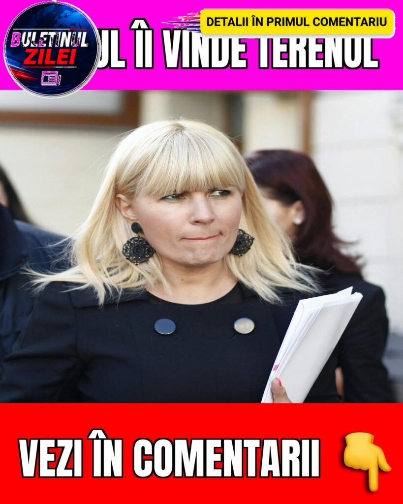 Udrea, în mijlocul unui nou scandal legat de proprietăți! ANAF scoate la vânzare terenul