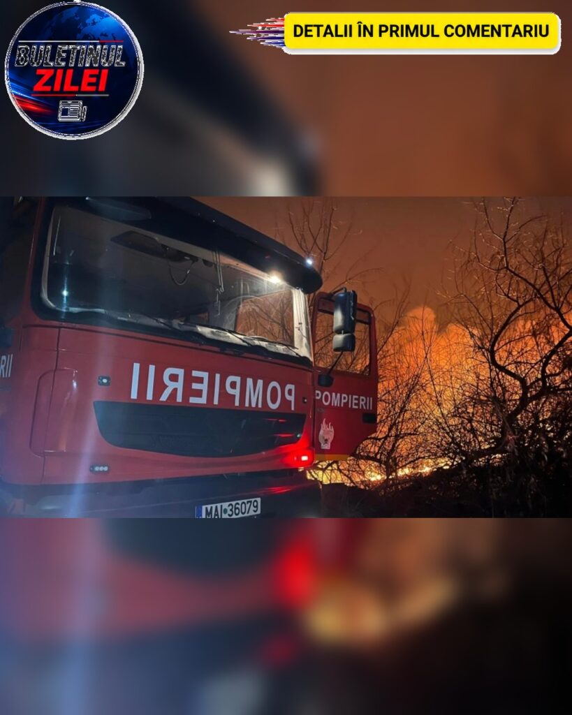 Incendiu de proporții la Târnava. Zece hectare de vegetație și o groapă de gunoi, cuprinse de flăcări