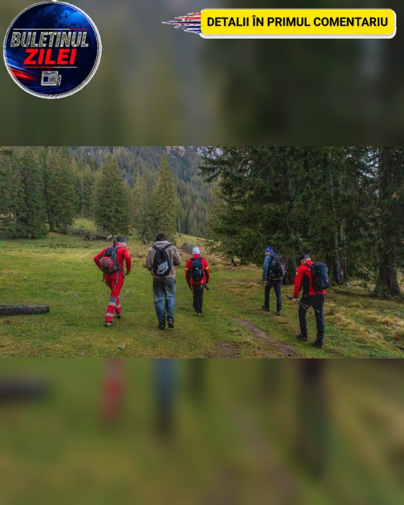 Salvamontiștii din Sibiu au intervenit în Munții Făgăraș. Un parapantist a rămas blocat într-un copac