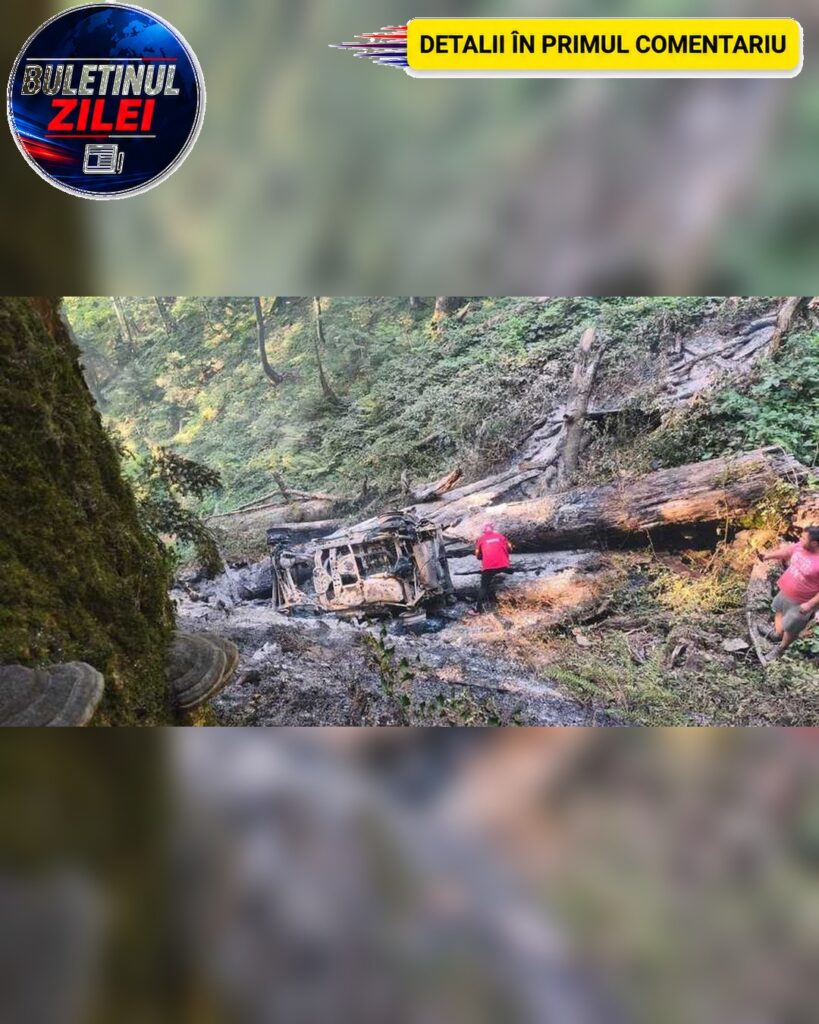 Accident grav în Vâlcea. Un șofer a murit după ce mașina a căzut într-o râpă și a luat foc