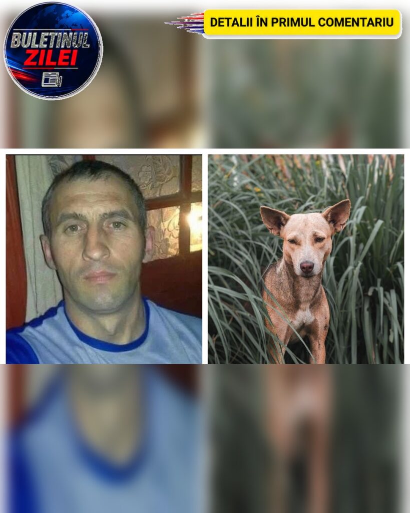 Cristi a murit de rabie, după ce a fost mușcat de un…