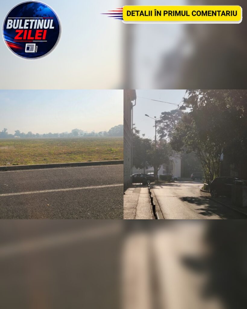 Timișoara, învăluită în fum dens. Incendiile de vegetație din Serbia afectează calitatea aerului