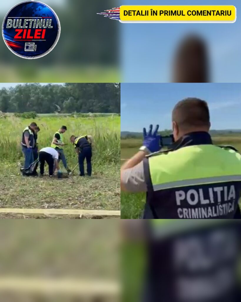 Un craniu uman, un picior și două telefoane au fost găsite pe un câmp din M…