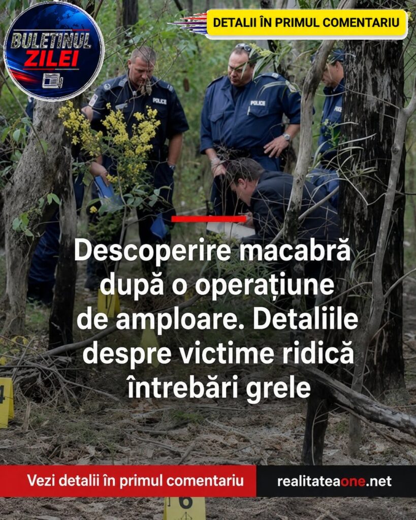 Ce au stabilit anchetatorii după analizarea celor 48 de saci