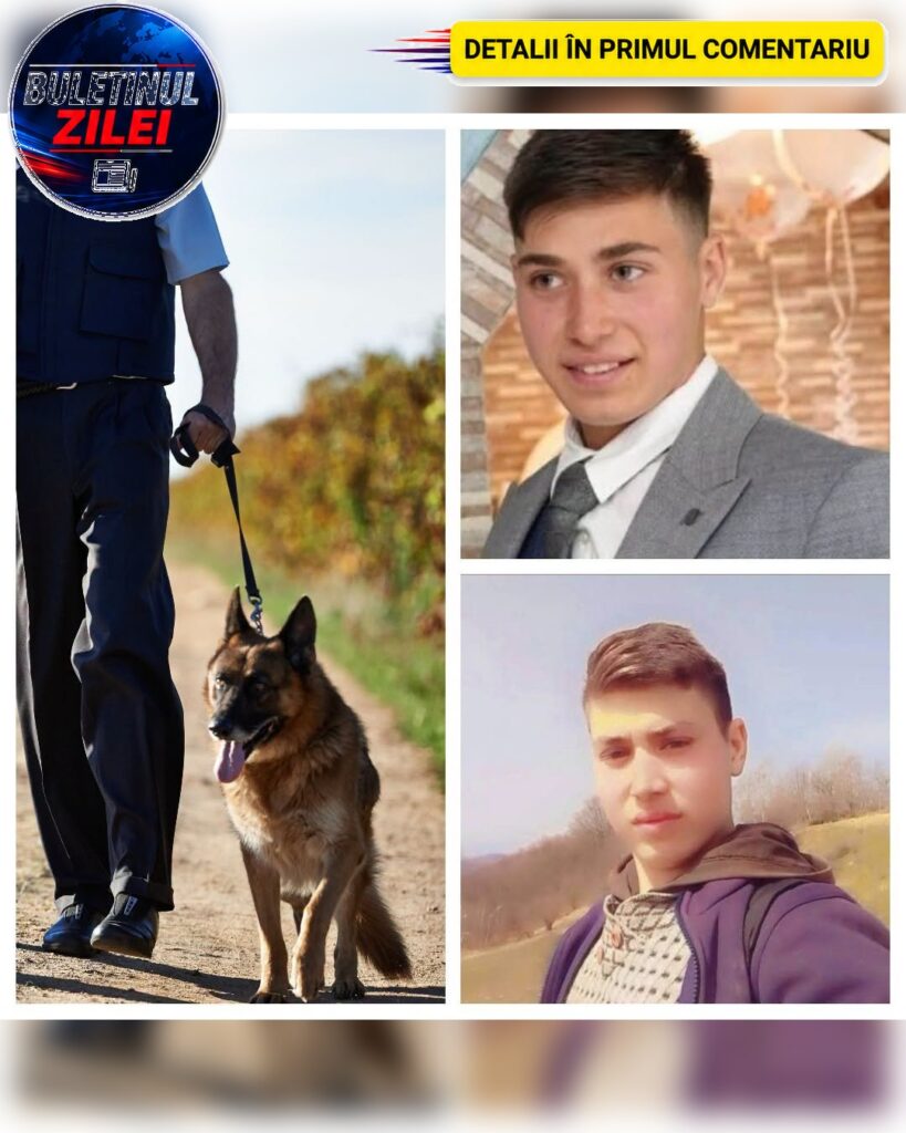 Ionuț, ciobanul de 19 ani dispărut după ce a plecat cu oile, a fost găsit! Anunțul făcut de primar: „S-a întors acasă!”