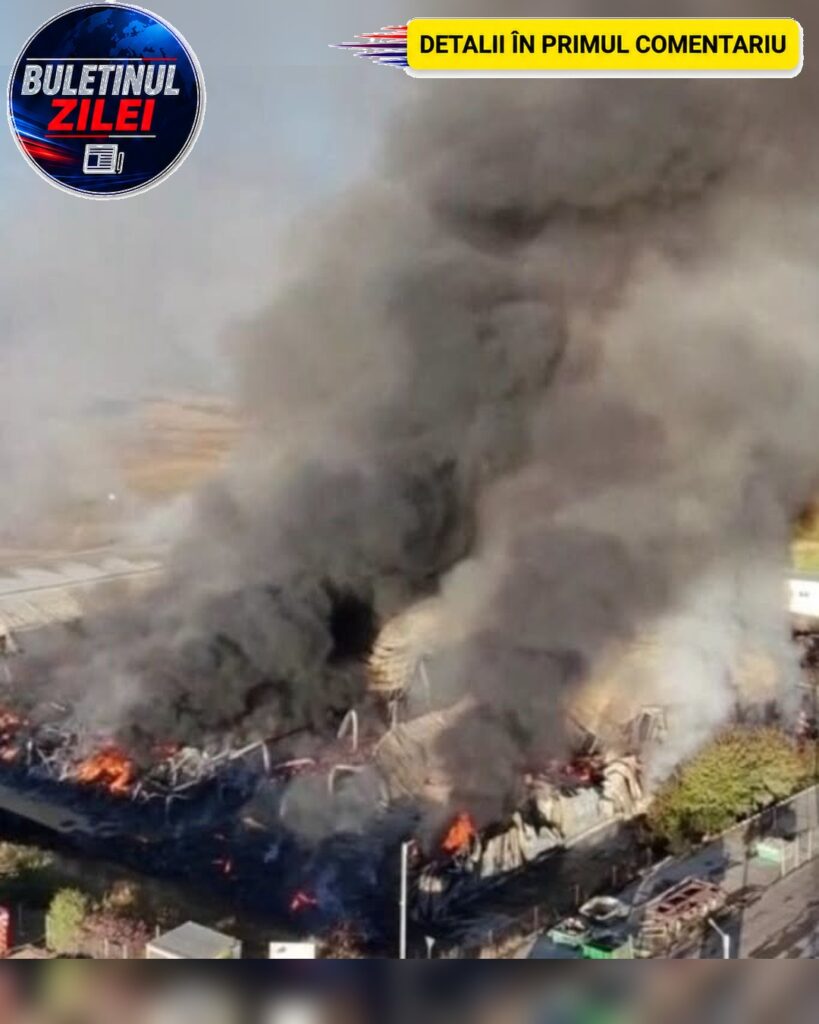VIDEO Incendiu puternic lângă Sibiu! O hală de reciclare a deșeurilor a fost înghițită de flăcări