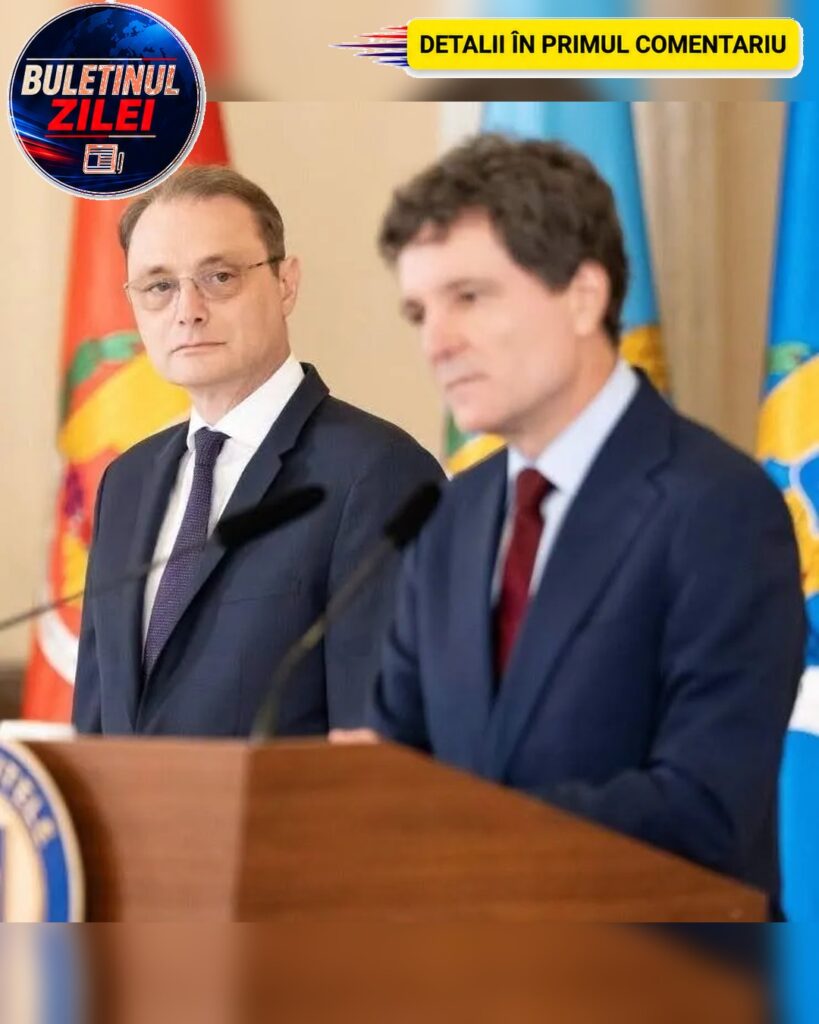 „O decizie bizară și nefericită”. Guvernul Luca Niculescu a…