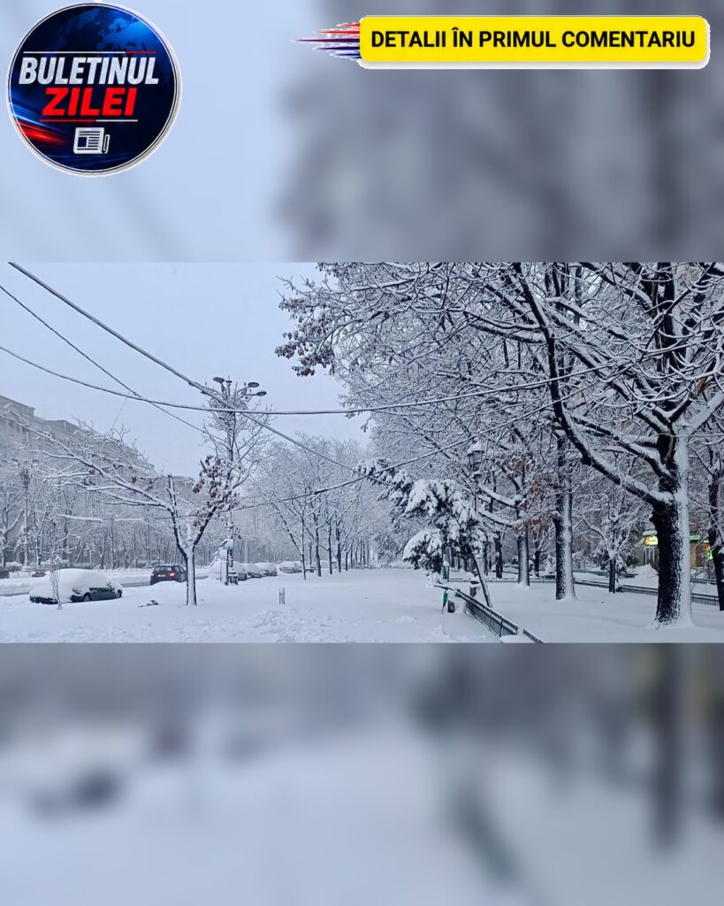 ȘOC în octombrie! NINGE în..