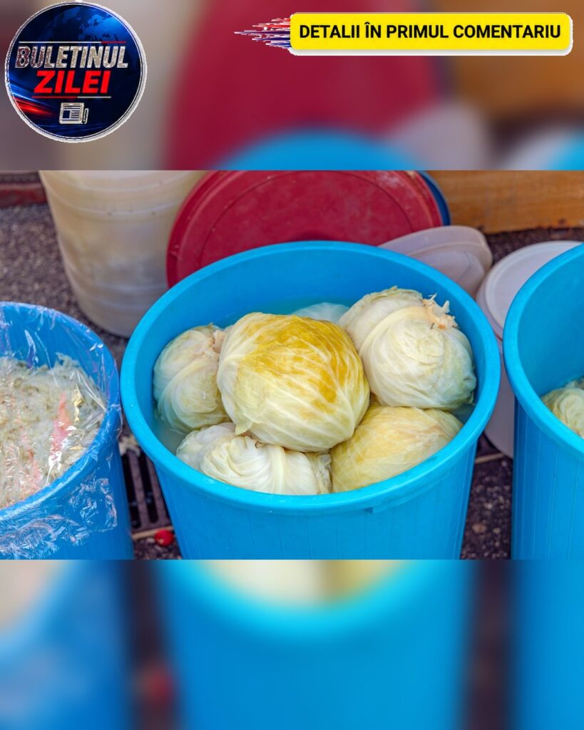 Când se pune varza la murat pentru iarnă