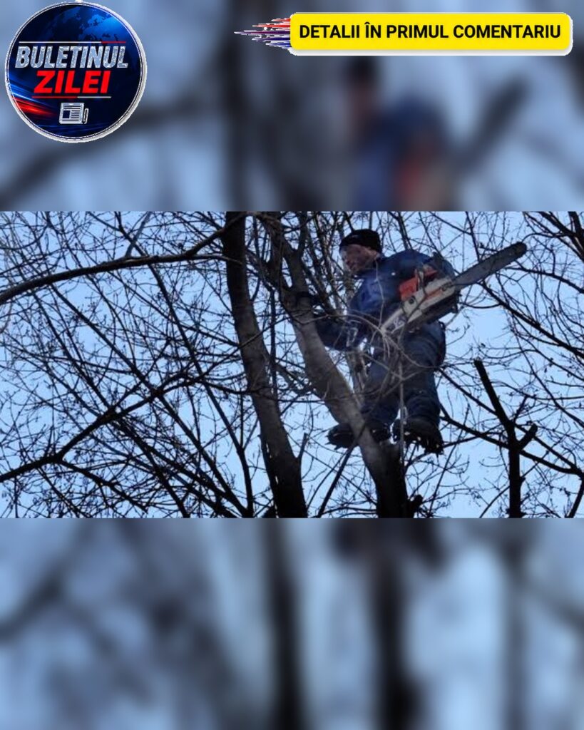 ȘOC! Inginer mort după ce o creangă i-a căzut în cap…