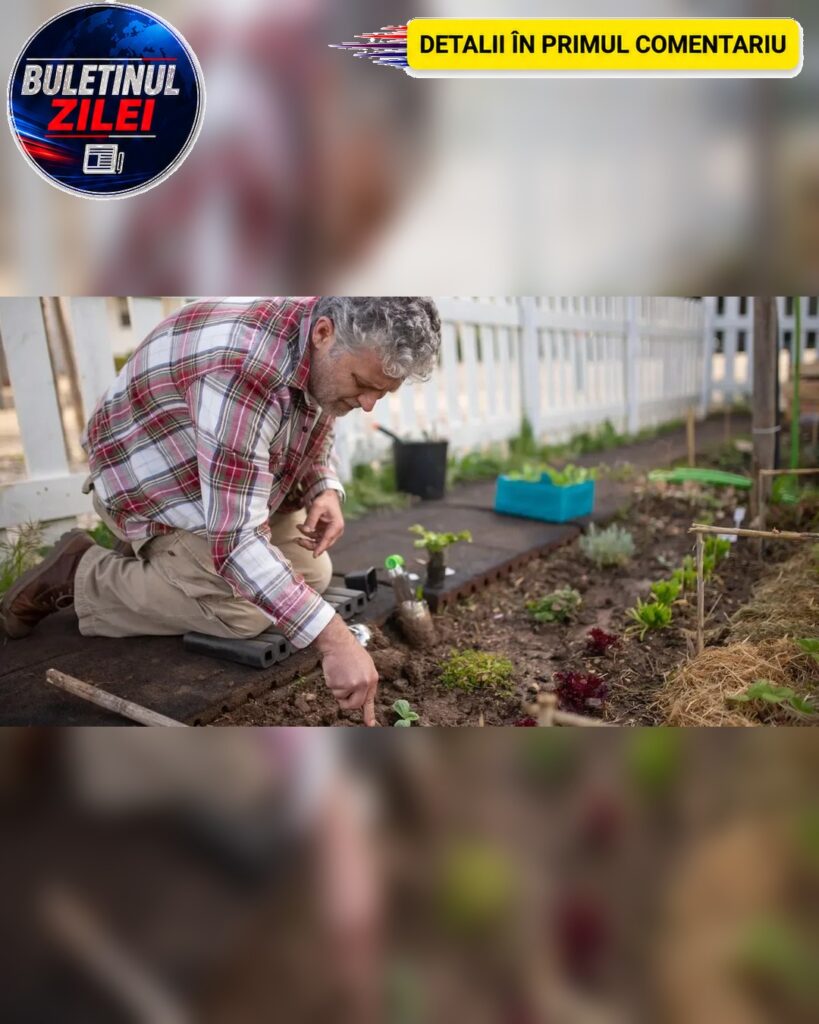Cum să marchezi locurile în care ai plantat legume în grădină? Ai nevoie de câteva sticle de plastic
