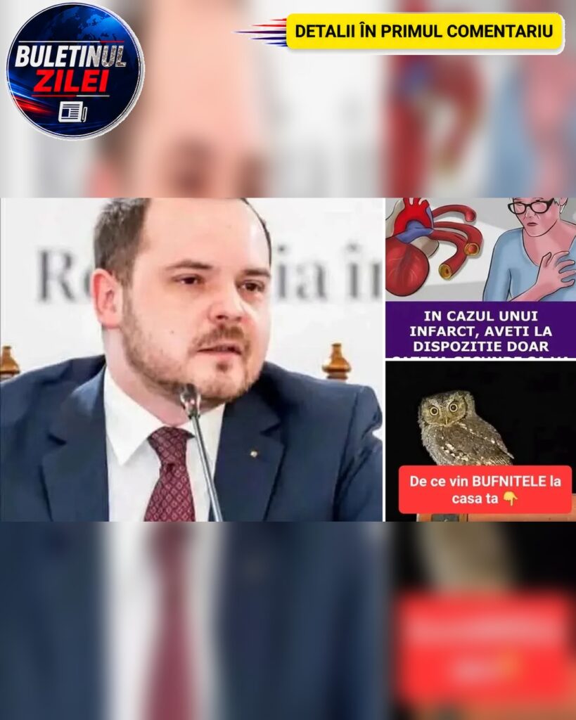 Poveștile zilei, duminică, 25 octombrie. Bufnița de lângă casă și lunile muncite care nu apar la pensie