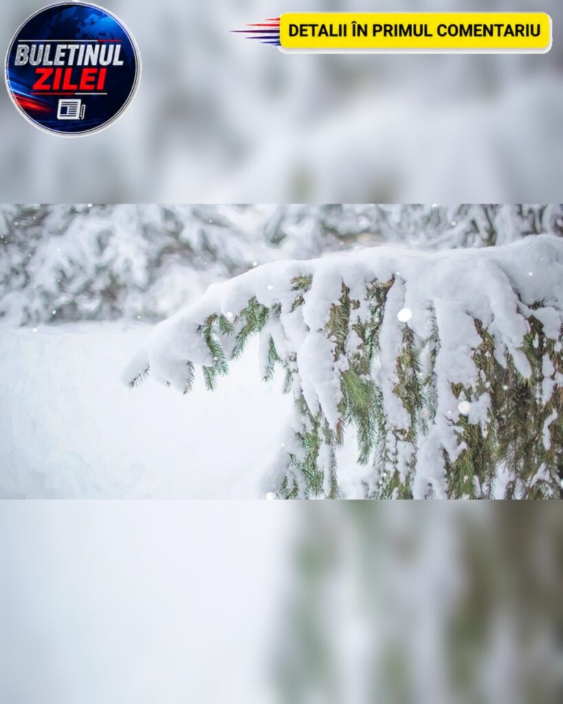 Deja începe să ningă în…